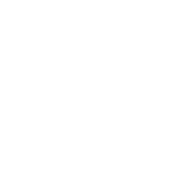Google Plus icon
